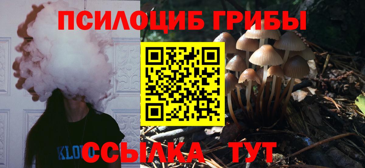 Галлюциногенные грибы мицелий  Вход с VPN  Можайск  Галлюциногенные грибы мицелий 